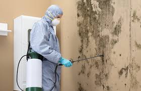 Orangeville, UT Mold Inspection Company